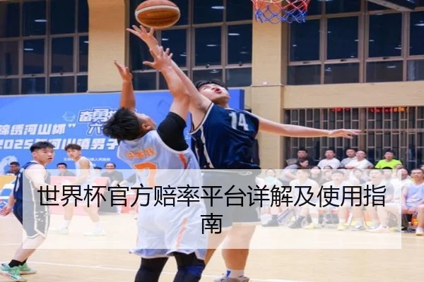 世界杯官方赔率平台详解及使用指南